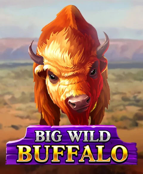 Play Big Wild Buffalo at Millionaire Bets Hub Casino